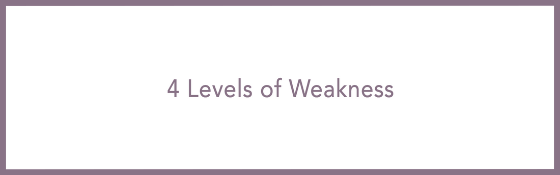 4 Levels of Weakness - Article 3