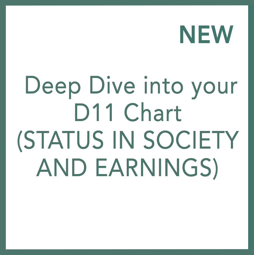 深入探索你的D11圖 (社會地位及收入) - 尼可拉.亞當摩維屈執行