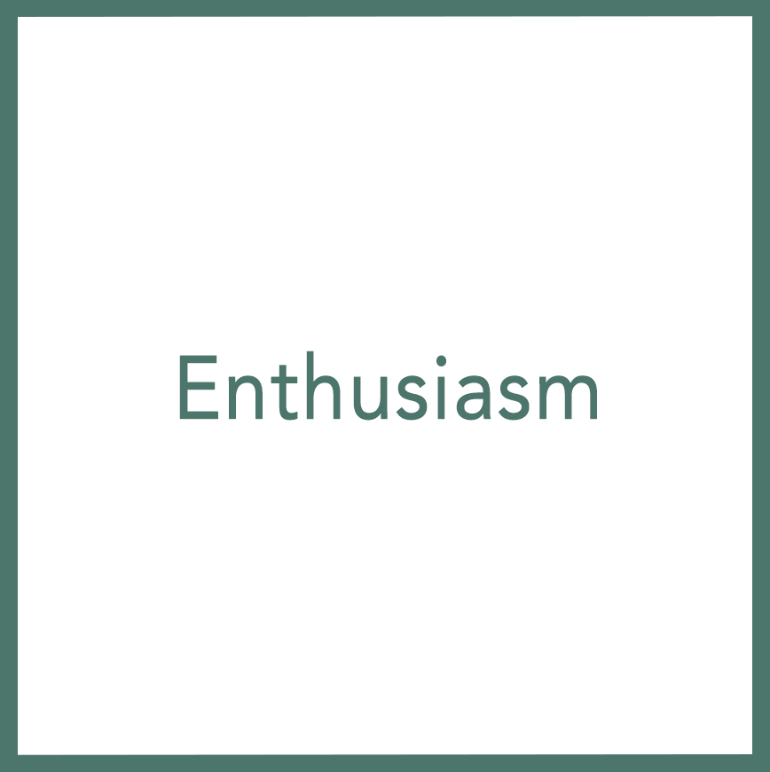 Enthusiasm - Performed by Nikola Adamović