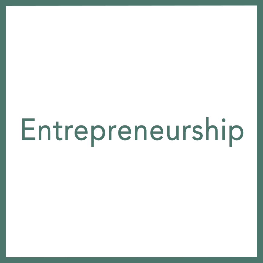 Entrepreneurship - Performed by Nikola Adamović