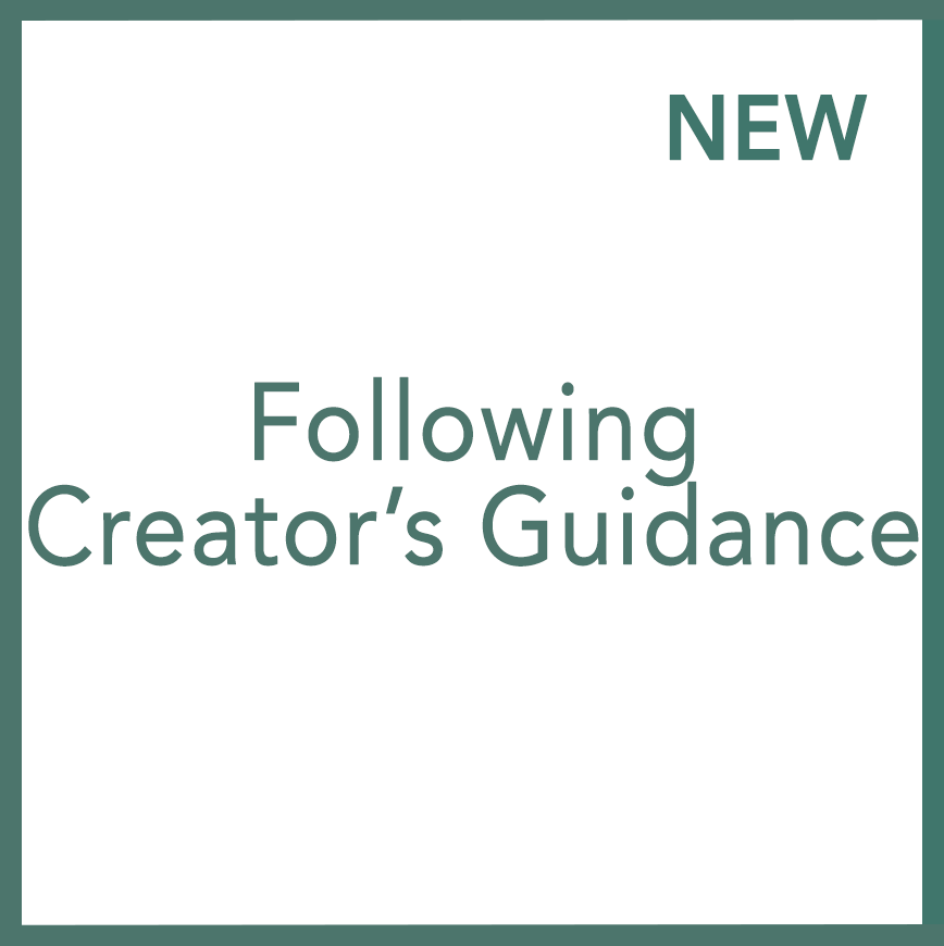 Following Creator’s Guidance - Performed by Nikola Adamović
