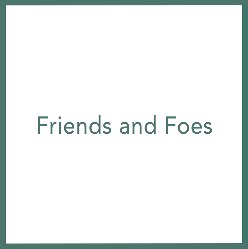 Friends and Foes