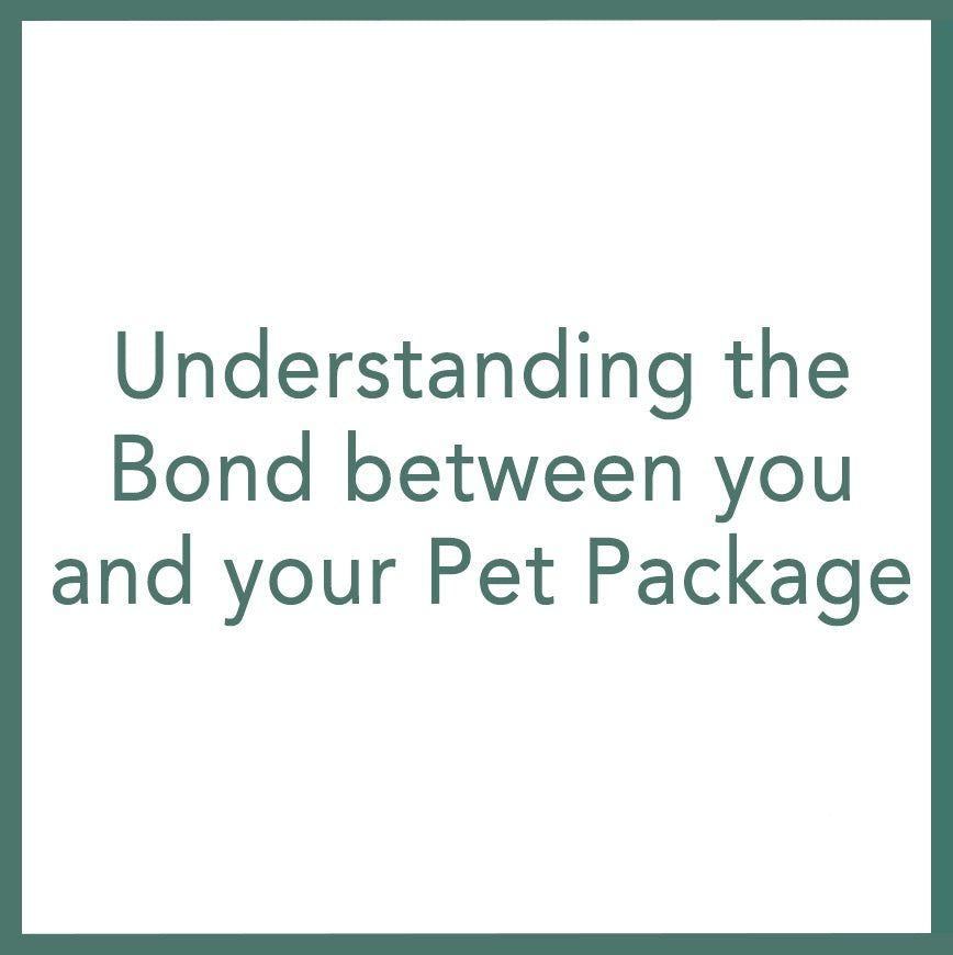 Understanding the Bond between you and your Pet Package - Performed by Nikola Adamović