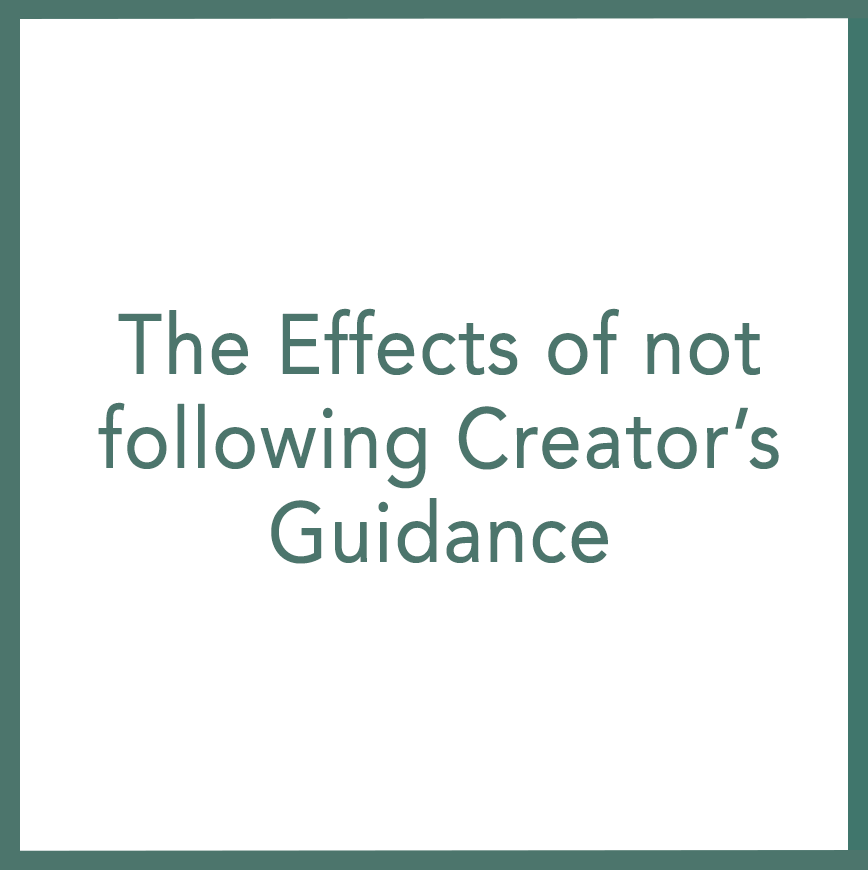 The Effects of not following Creator’s Guidance