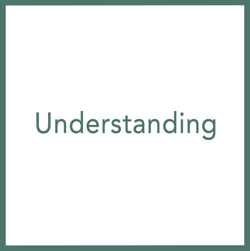 Understanding - Performed by Nikola Adamović