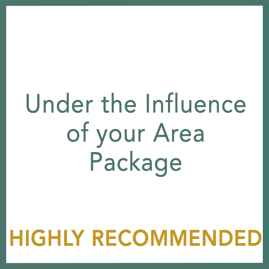 Under the Influence of your Area Package - Performed by Nikola Adamović