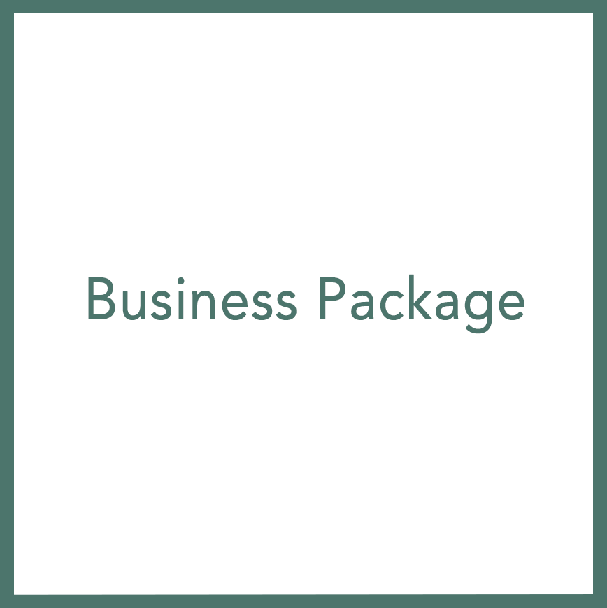 Business Package - Performed by Nikola Adamović