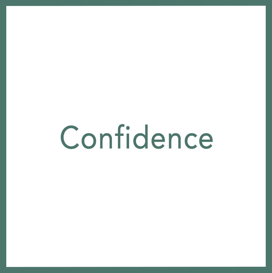 Confidence - Performed by Nikola Adamović