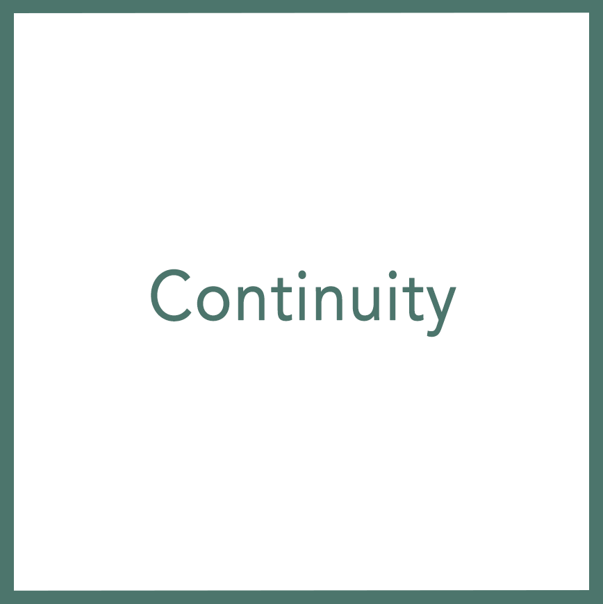 Continuity - Performed by Nikola Adamović