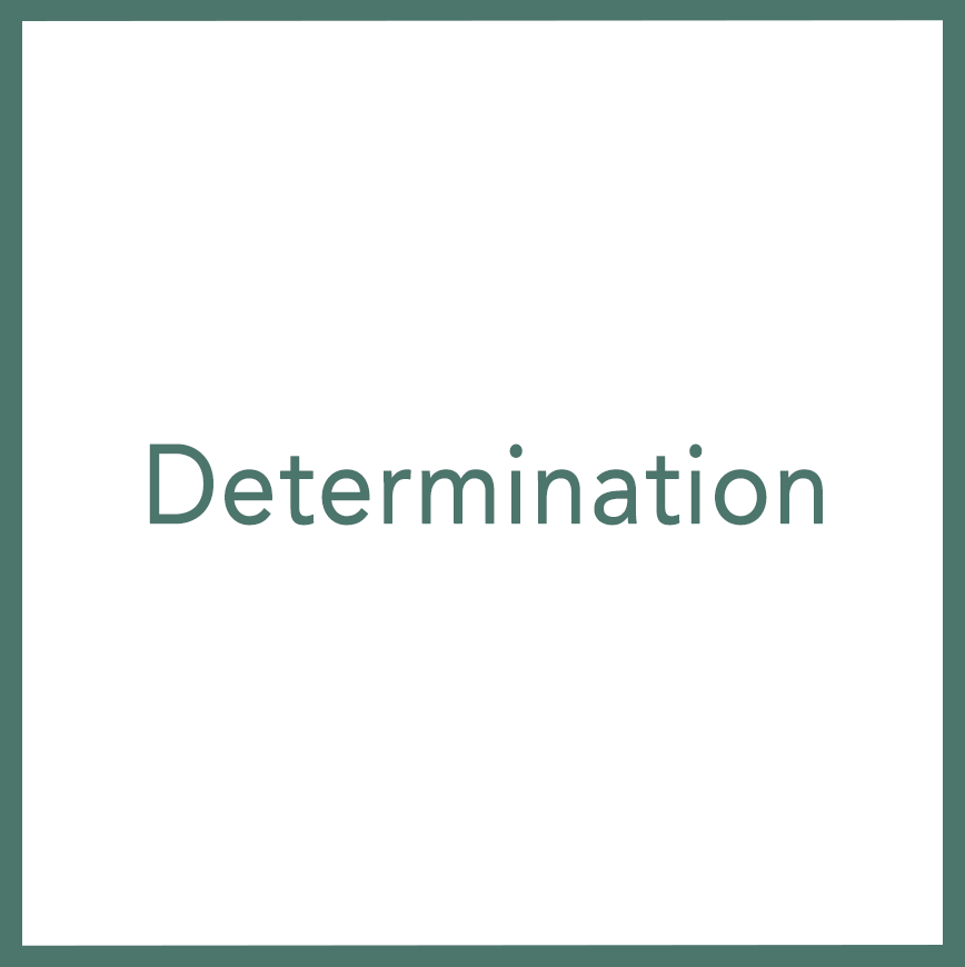 Determination - Performed by Nikola Adamović