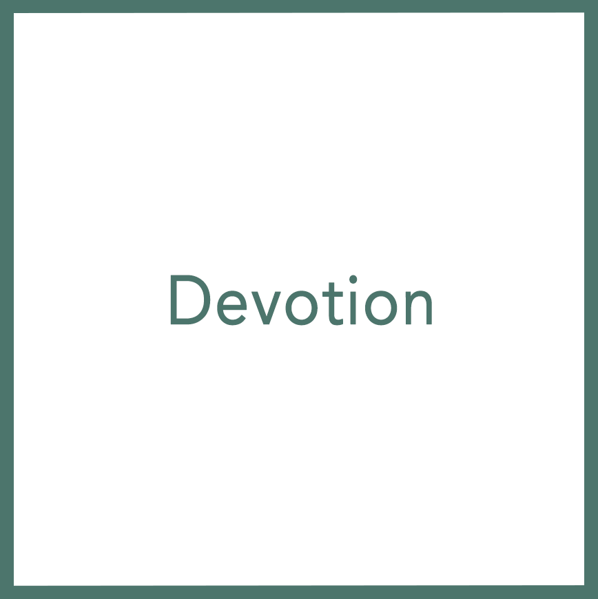 Devotion - Performed by Nikola Adamović