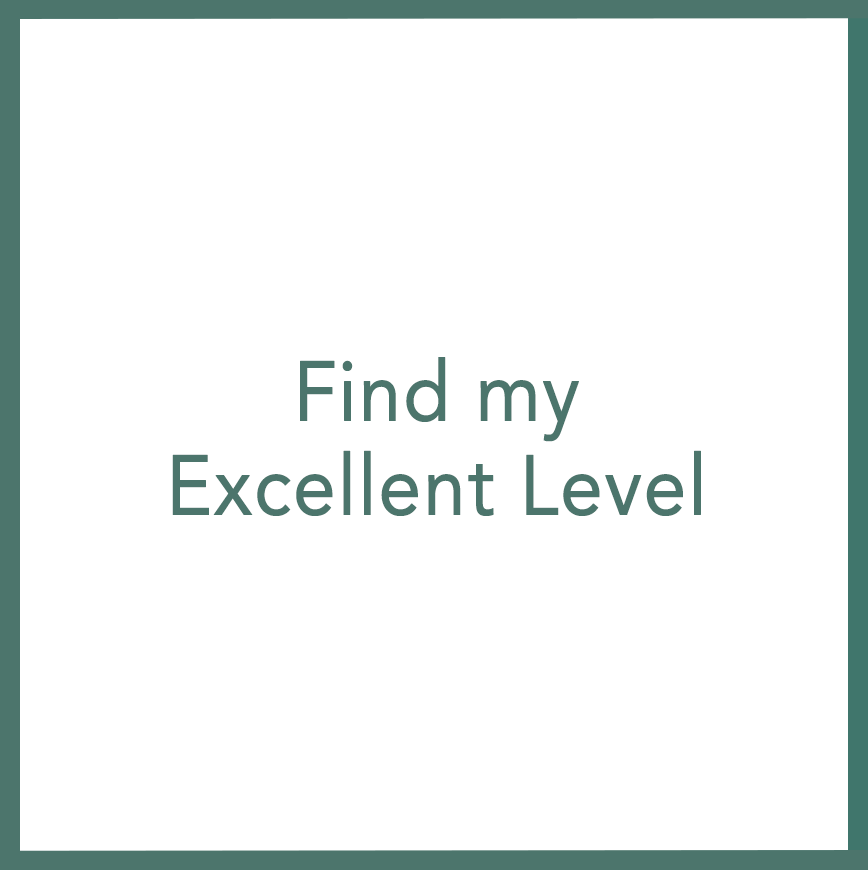 Find my Excellent Level