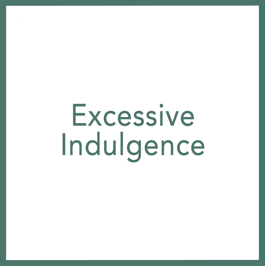Excessive Indulgence - Performed by Nikola Adamović