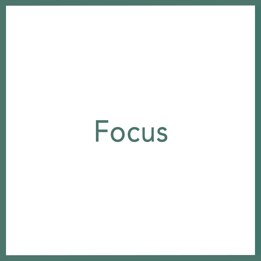 Focus - Performed by Nikola Adamović