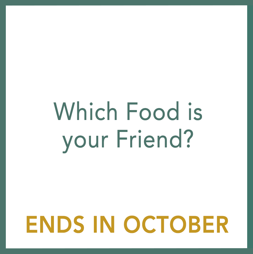 Which Food is your Friend? - Performed by Nikola Adamović