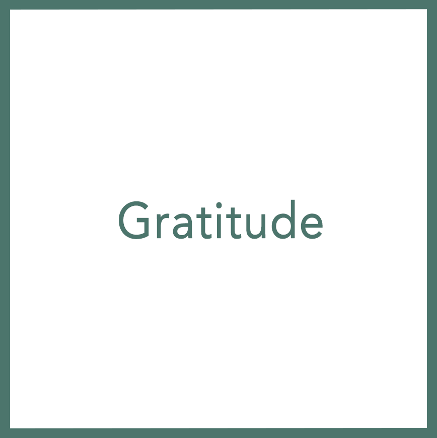 Gratitude - Performed by Nikola Adamović