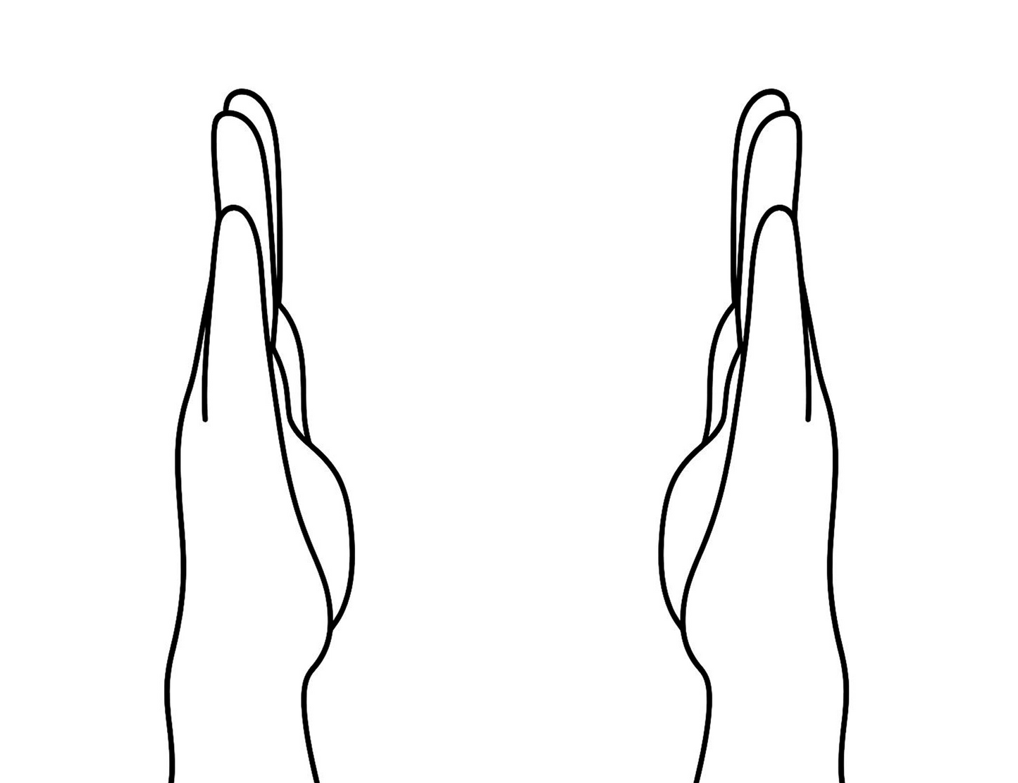 Palmistry - Performed by Nikola Adamović