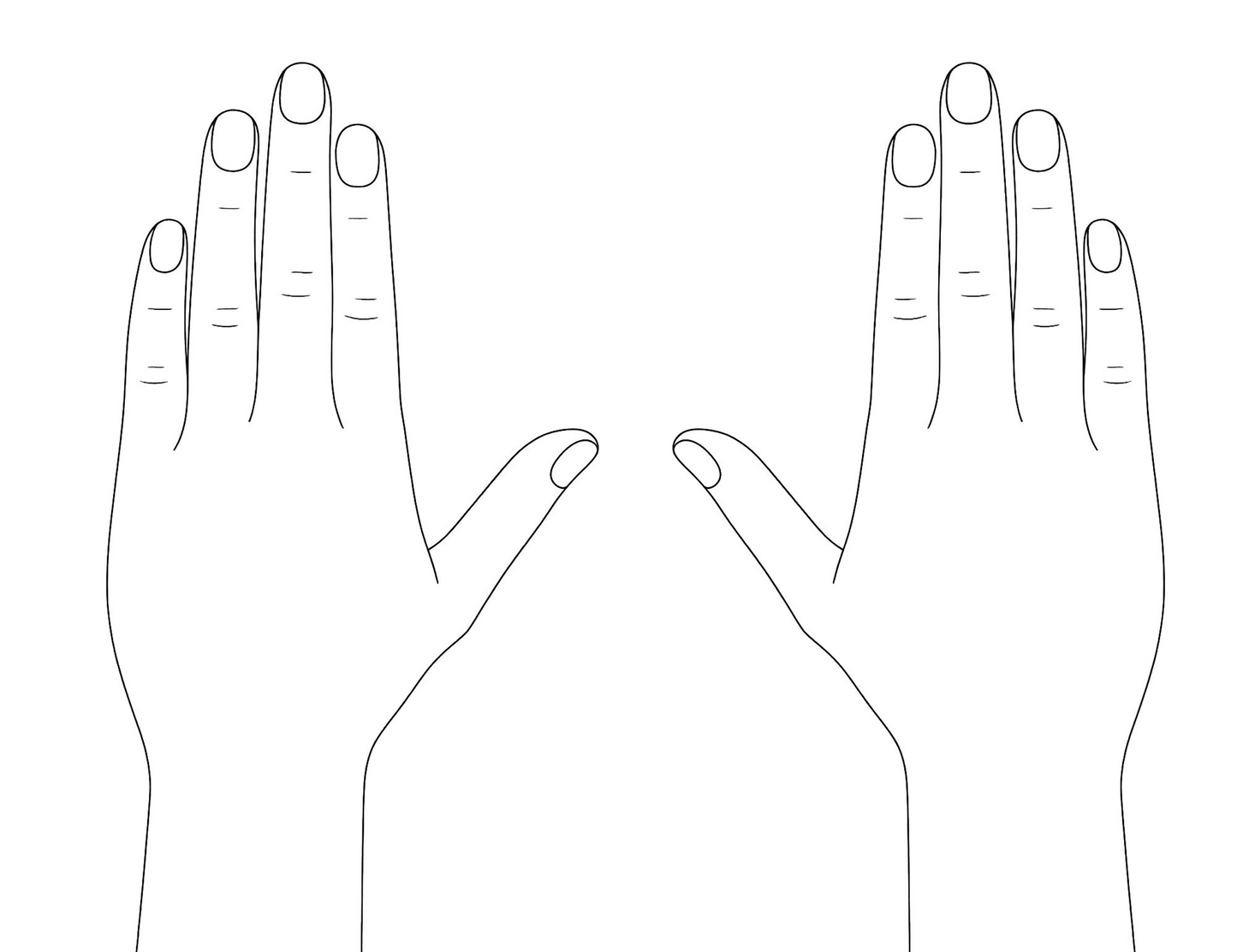 Palmistry - Performed by Nikola Adamović