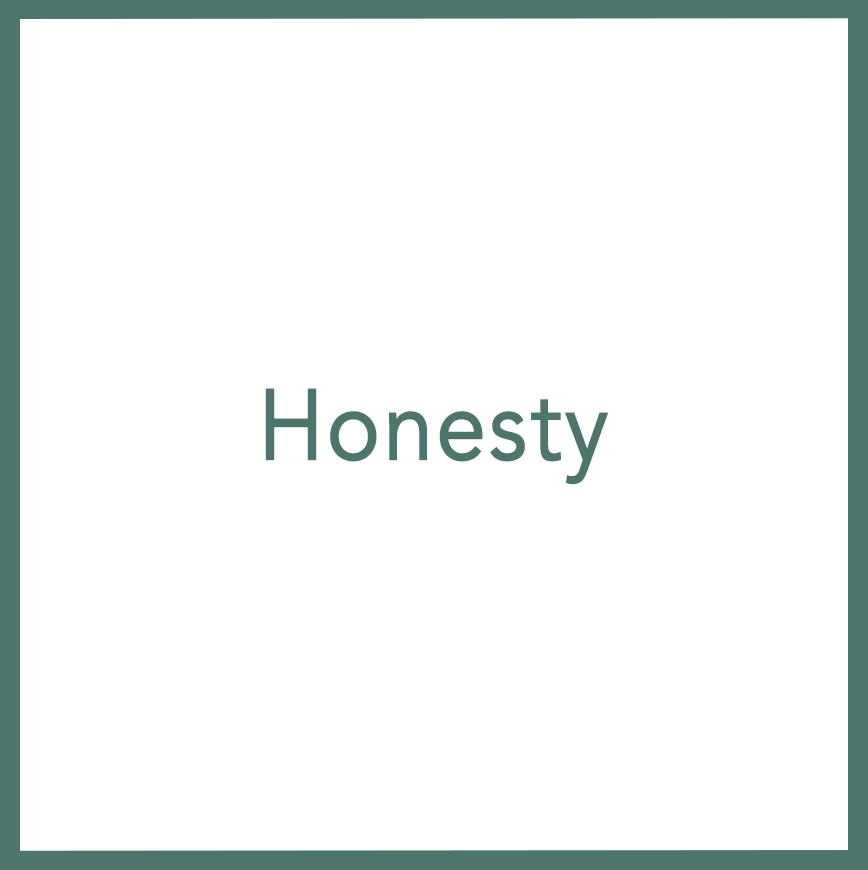 Honesty - Performed by Nikola Adamović