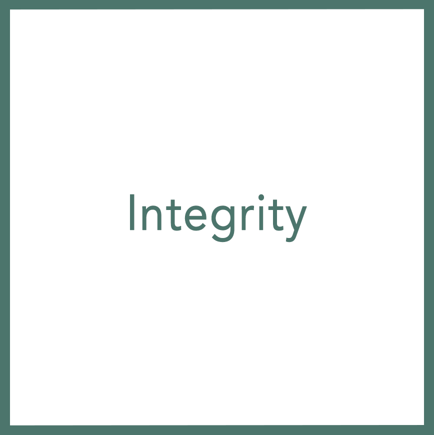 Integrity - Performed by Nikola Adamović