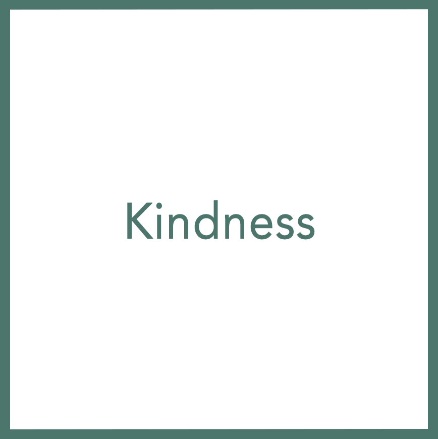 Kindness - Performed by Nikola Adamović