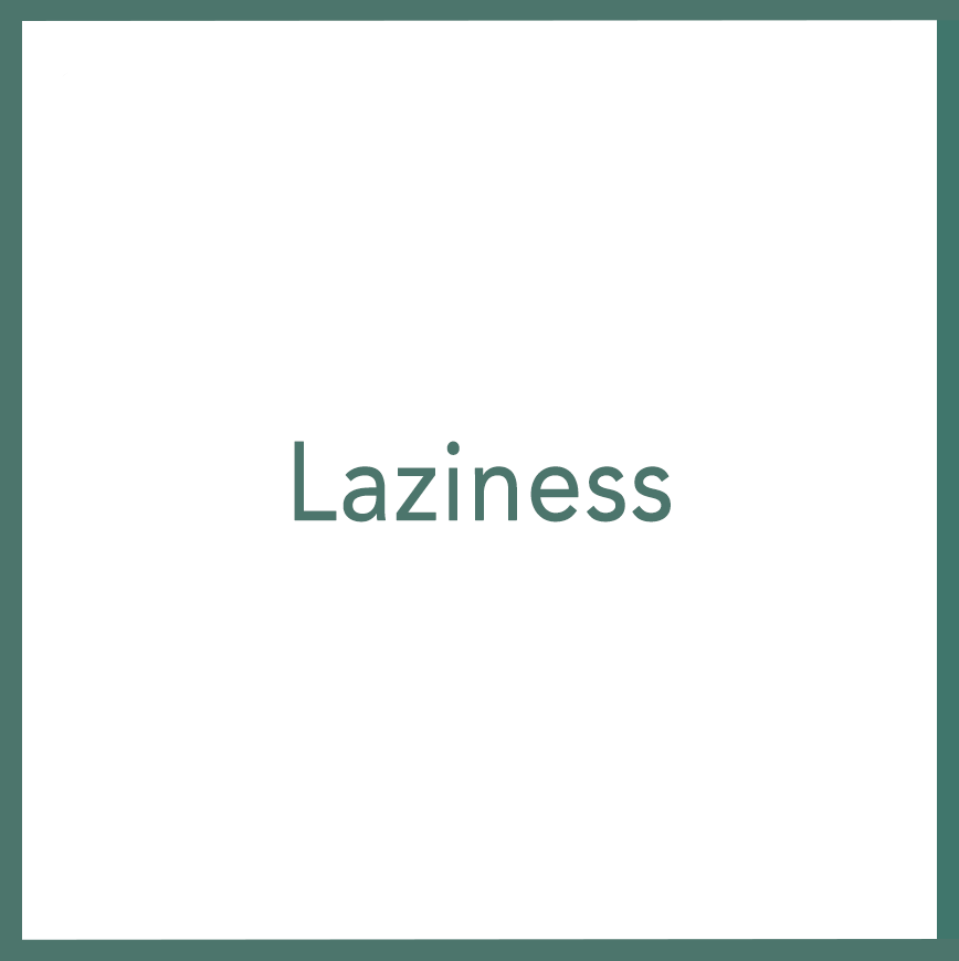 Laziness - Performed by Nikola Adamović