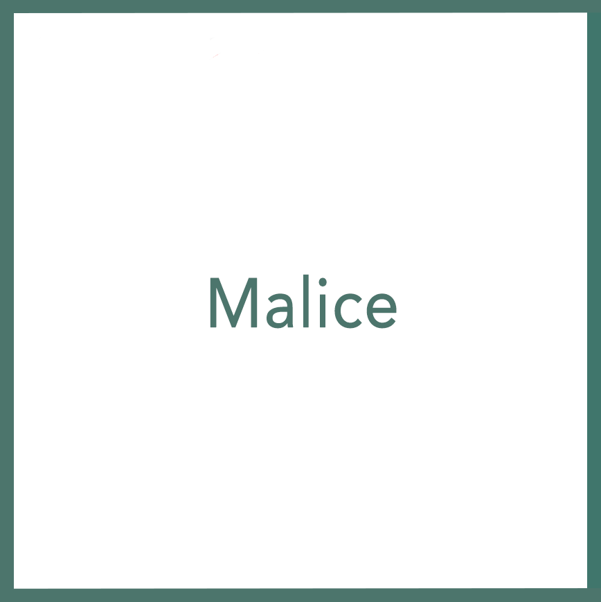 Malice - Performed by Nikola Adamović