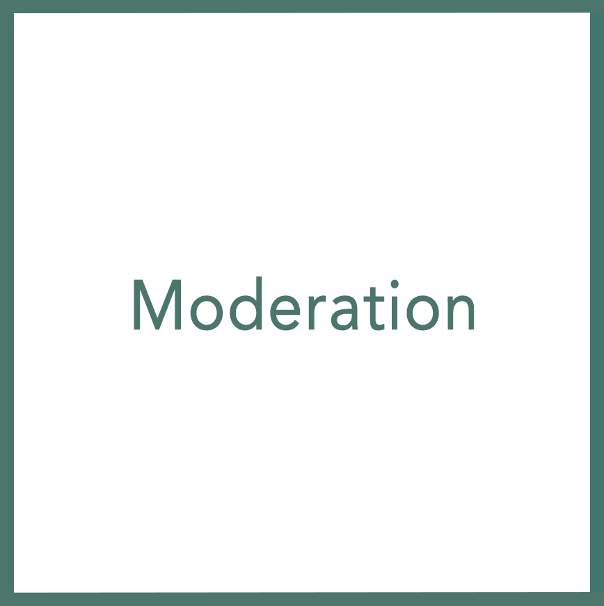 Moderation - Performed by Nikola Adamović