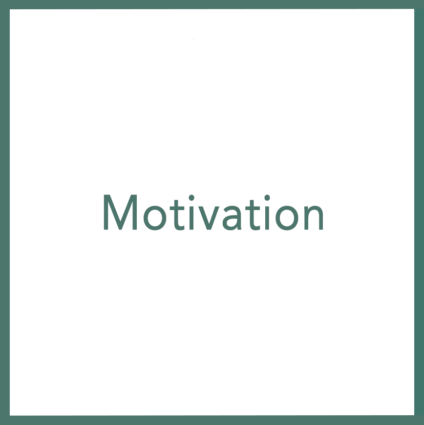 Motivation - Performed by Nikola Adamović