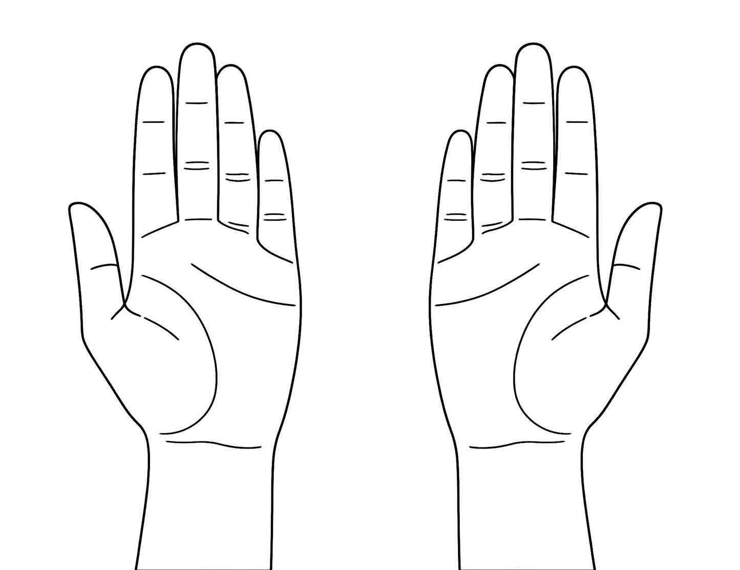 Palmistry - Performed by Nikola Adamović