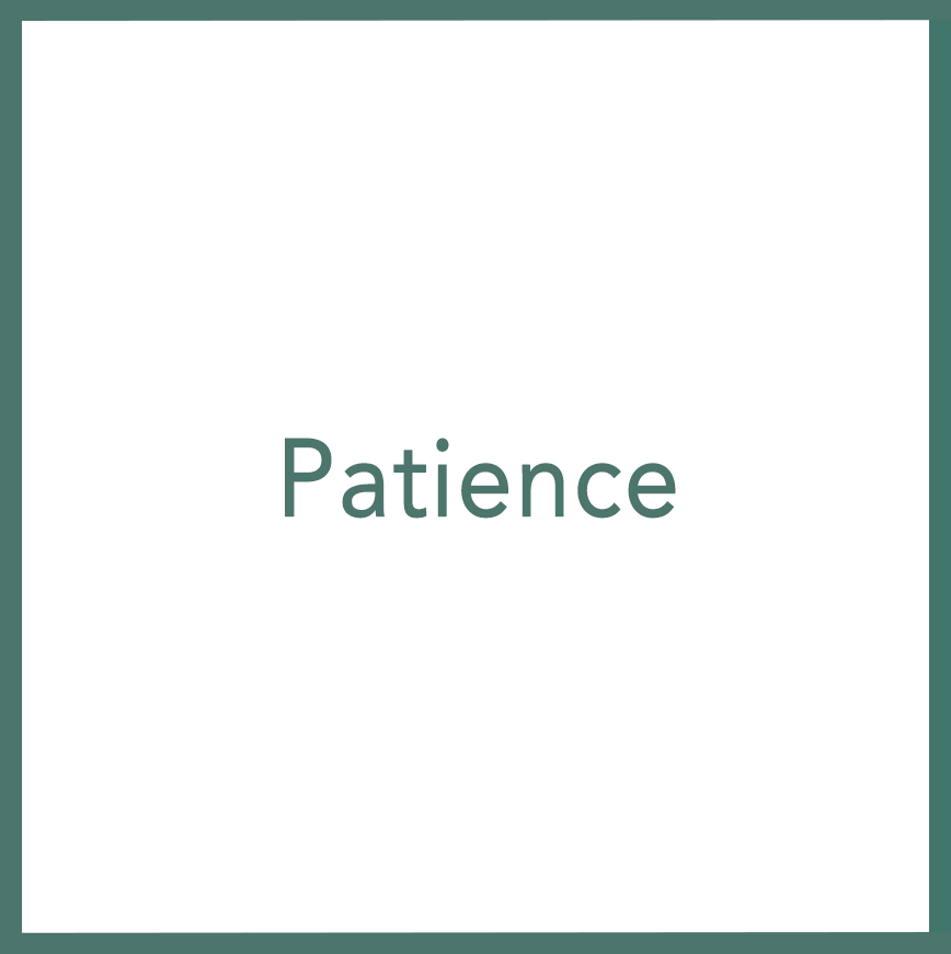 Patience - Performed by Nikola Adamović