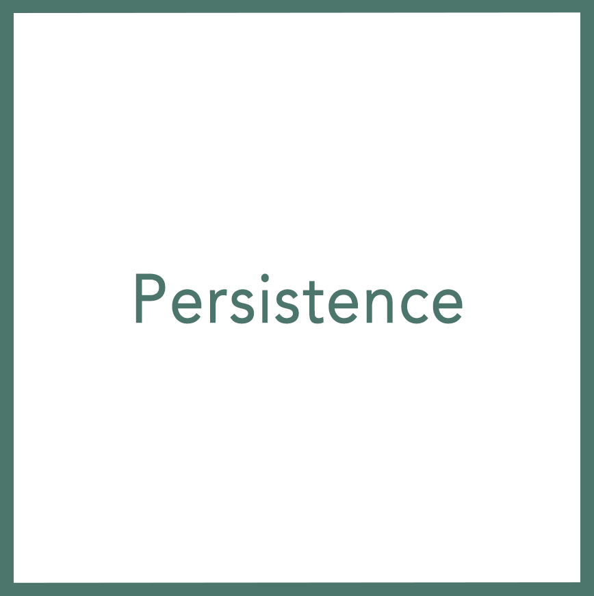 Persistence - Performed by Nikola Adamović