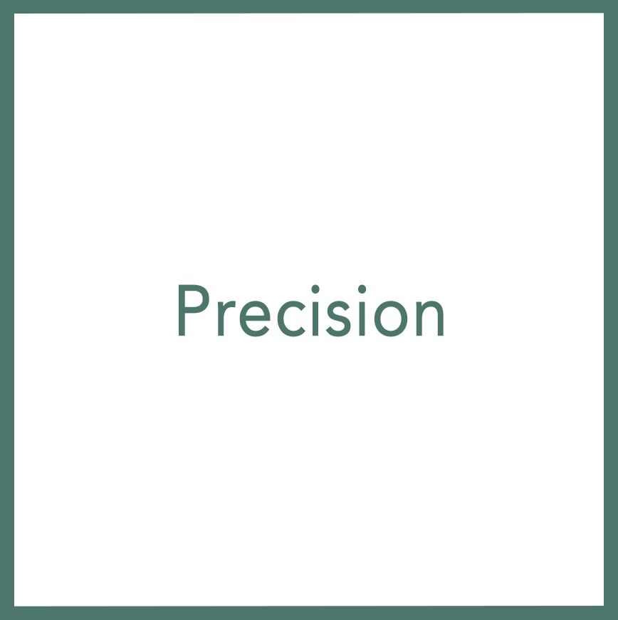 Precision - Performed by Nikola Adamović