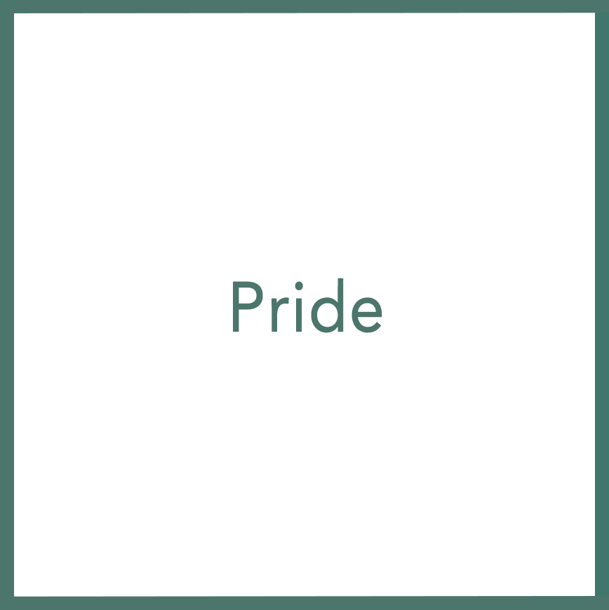 Pride - Performed by Nikola Adamović