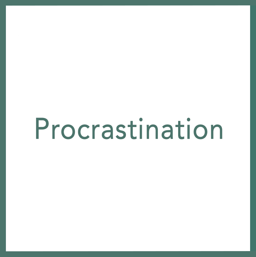 Procrastination - Performed by Nikola Adamović