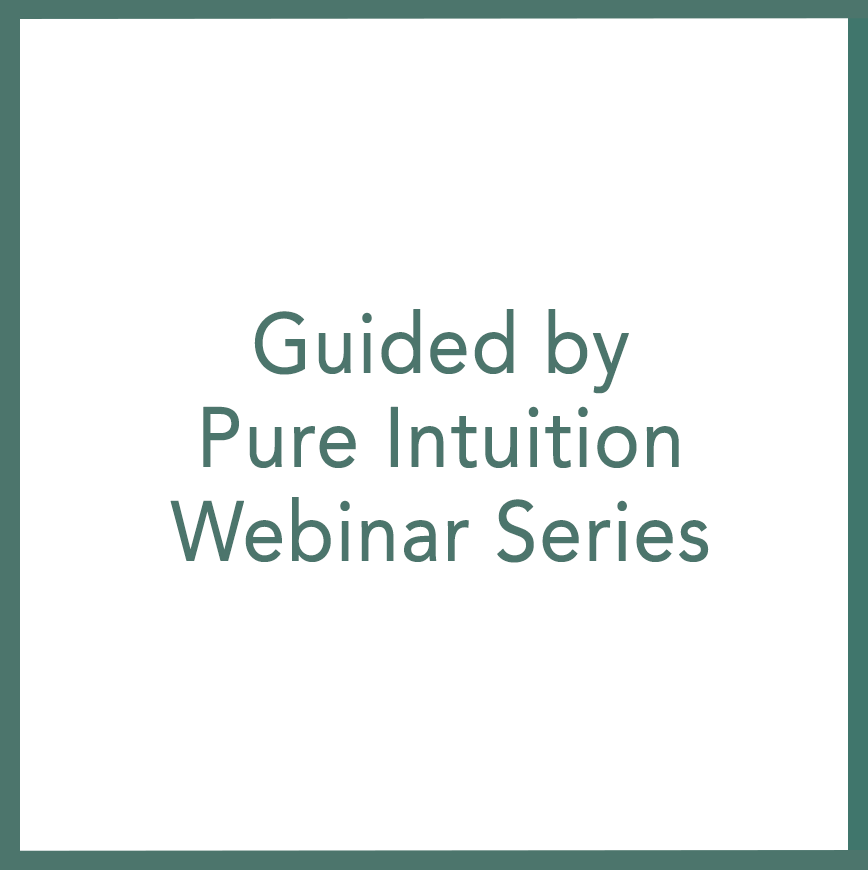 Guided by Pure Intuition – Webinar Series