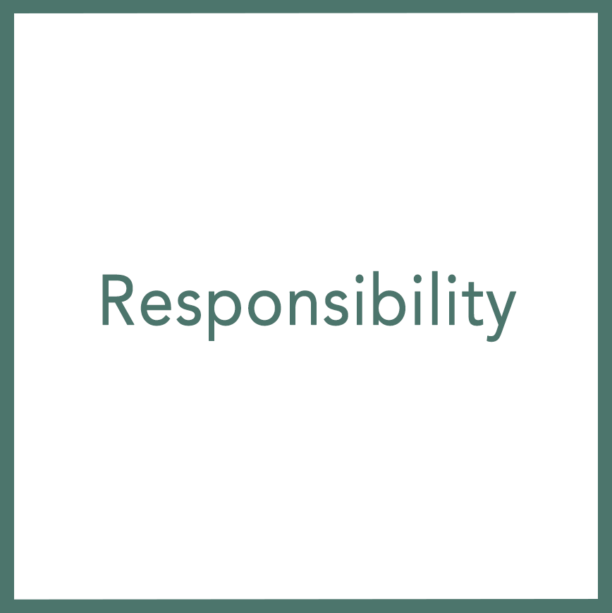 Responsibility - Performed by Nikola Adamović