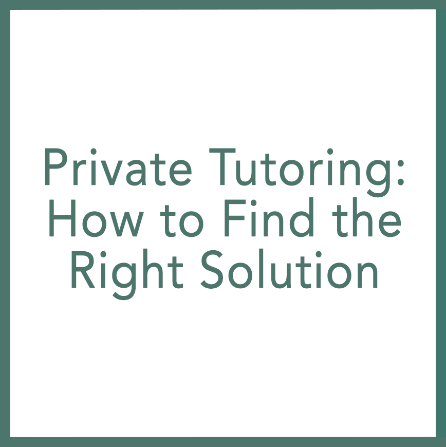 Private Tutoring: How to Find the Right Solution - Performed by Nikola Adamović