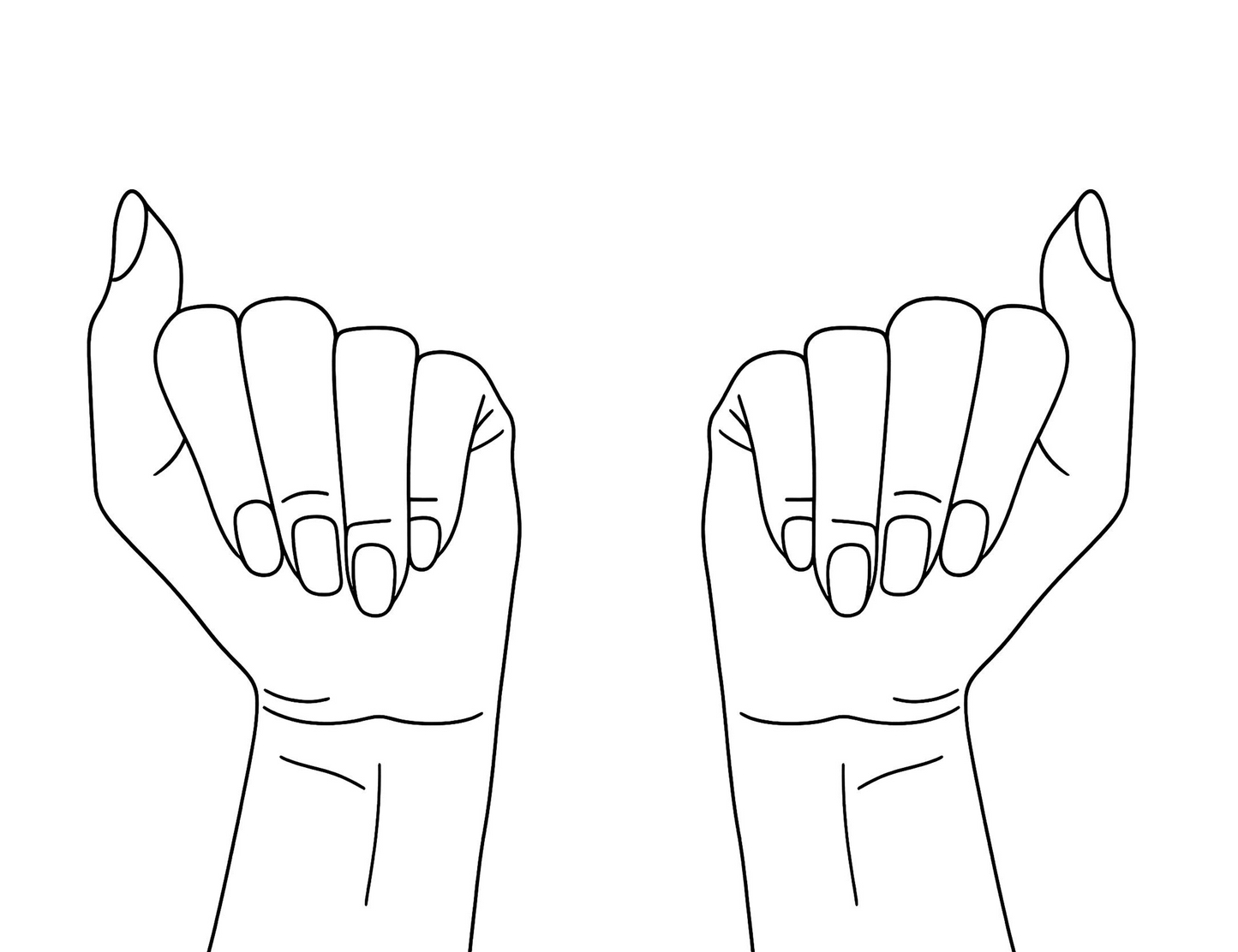Palmistry - Performed by Nikola Adamović