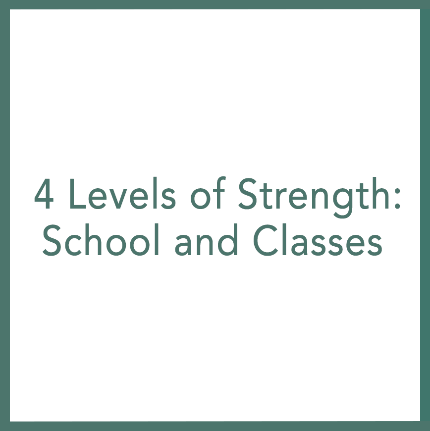 4 Levels of Strength: School and Classes