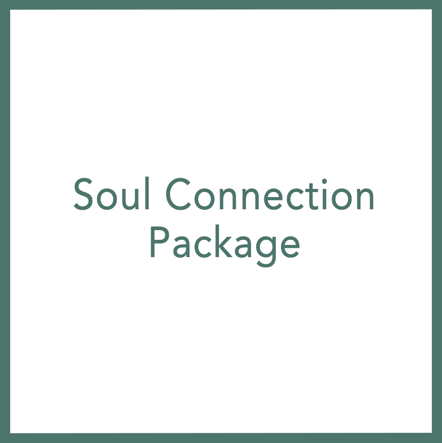 Soul Connection Package - Performed by Nikola Adamović