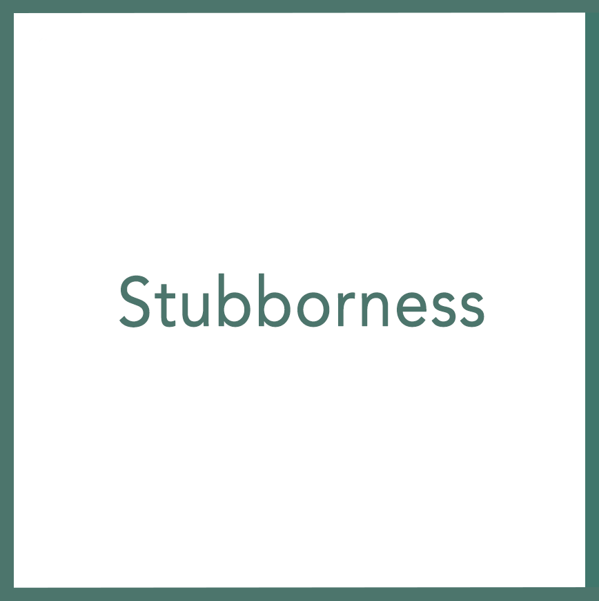 Stubborness - Performed by Nikola Adamović