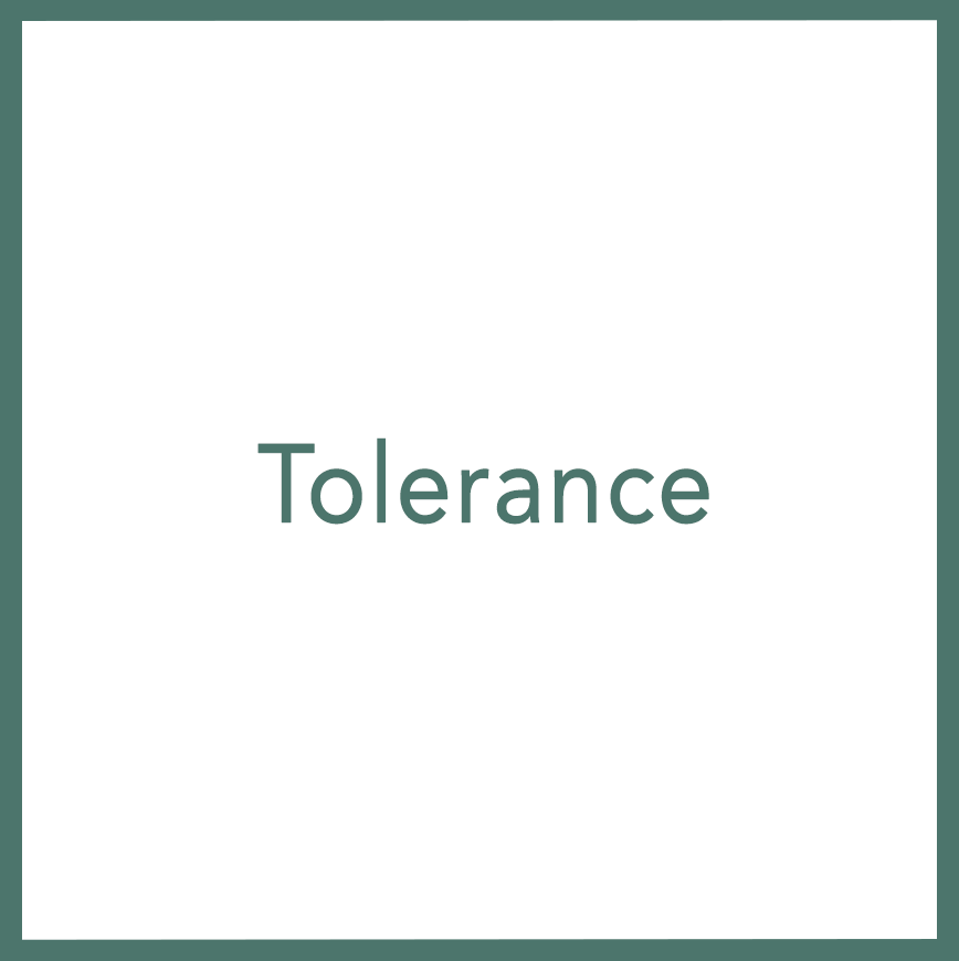 Tolerance - Performed by Nikola Adamović