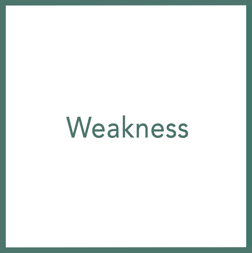 Weakness - Performed by Nikola Adamović