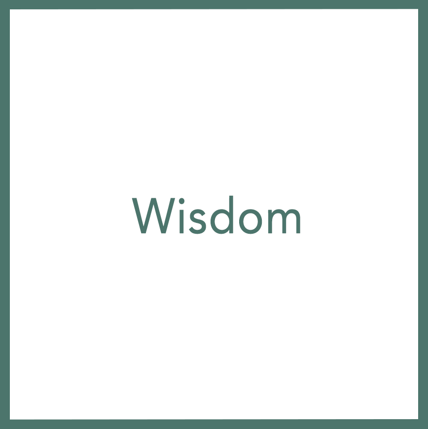 Wisdom - Performed by Nikola Adamović