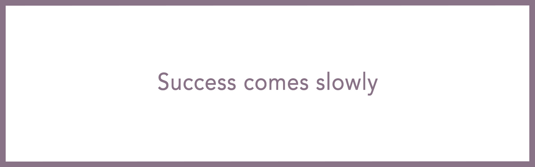 Success comes slowly - Article 8