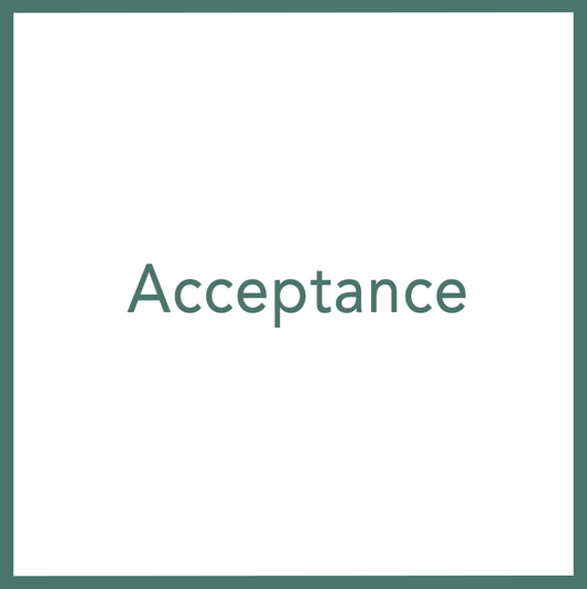 Acceptance - Performed by Nikola Adamović