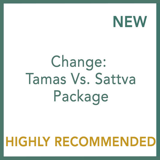 轉變：惰性與悅性組合包 - 尼可拉.亞當摩維屈執行