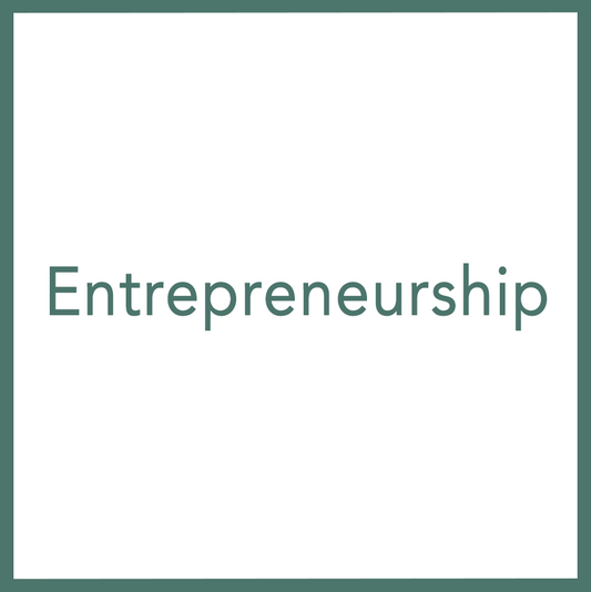 Entrepreneurship - Performed by Nikola Adamović