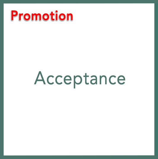 Acceptance - Performed by Nikola Adamović
